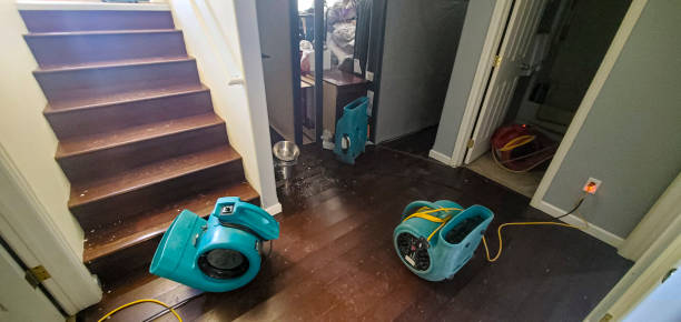 Elmo, TX Water damage restoration Company