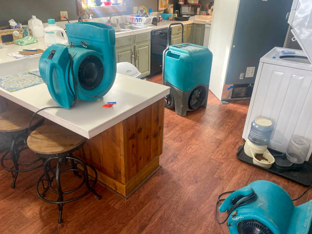 Best 24-hour water damage restoration  in Elmo, TX