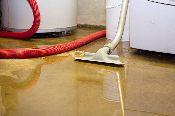 Best Flooded house restoration  in Elmo, TX