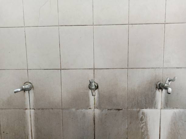 Best Water damage restoration services  in Elmo, TX