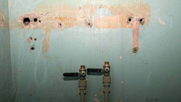 Best Water damage restoration specialists  in Elmo, TX