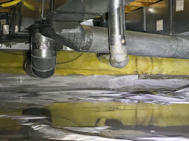 Best Sewage cleanup and water damage restoration  in Elmo, TX