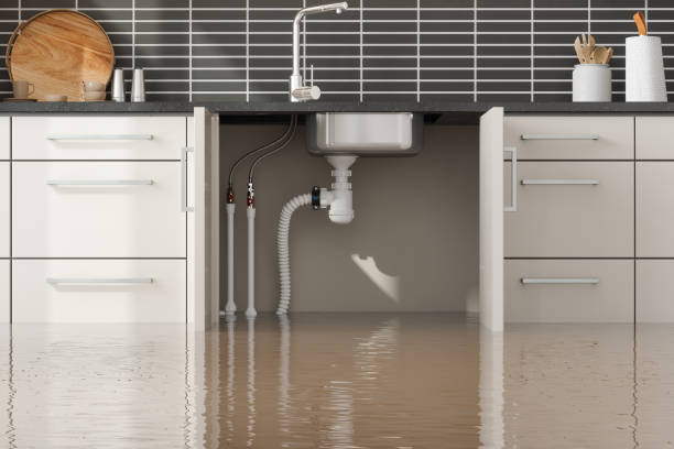 Best Flood restoration services  in Elmo, TX