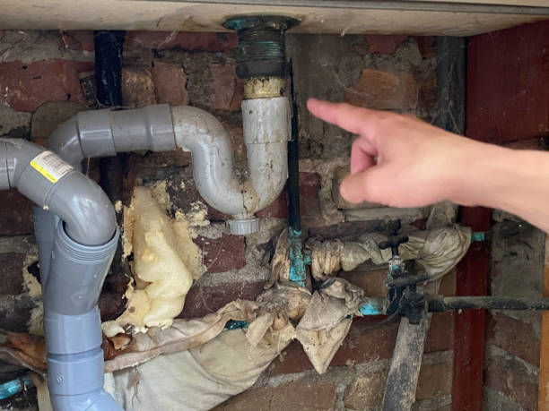 Best Professional water damage repair  in Elmo, TX