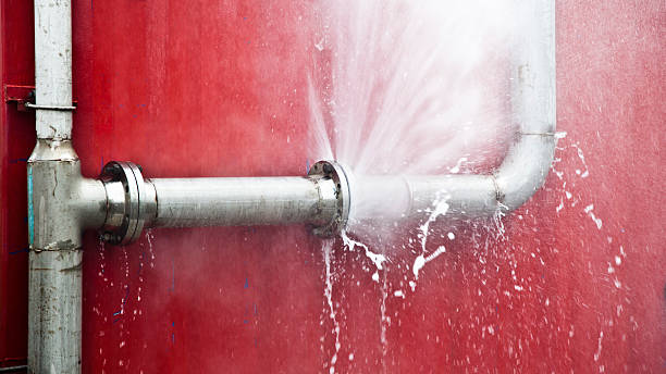 Best Water damage restoration services  in Elmo, TX