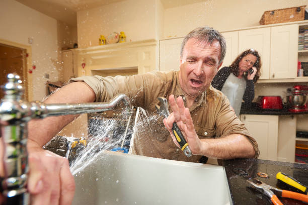 Best Mold removal after water damage  in Elmo, TX
